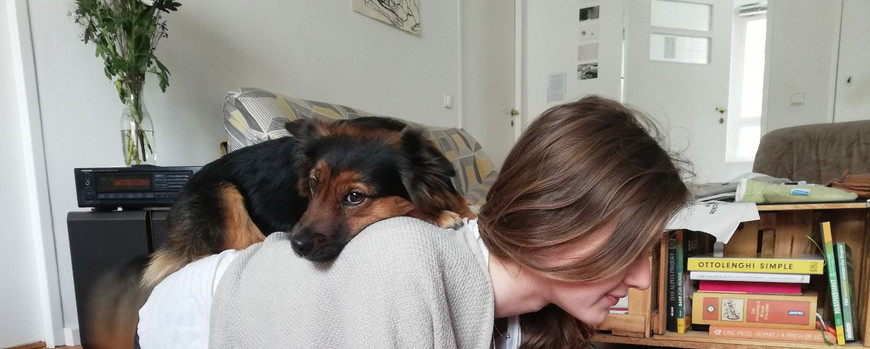 Eine junge Frau hockt halbliegend auf dem boden über einem Buch. auf ihrem Rücken sitzt ein Hund