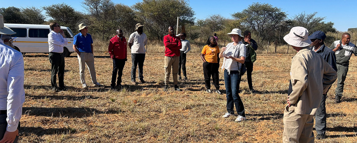 Menschen stehen auf einer Rasenfläche in Namibia, eine von ihnen erzählt - 