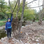 Trierbach at Müsch, 11/10/2021: Trees next to a stream marked by the flood