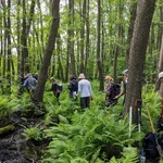 Exkursion in einen Erlenbruchwald bei Uetz (Modul Vegetation Mitteleuropas)