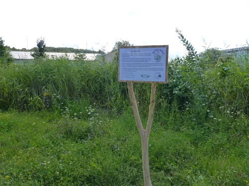 Bunte Wiese mit Schild