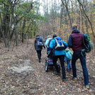 Gruppe läuft durch den Wald