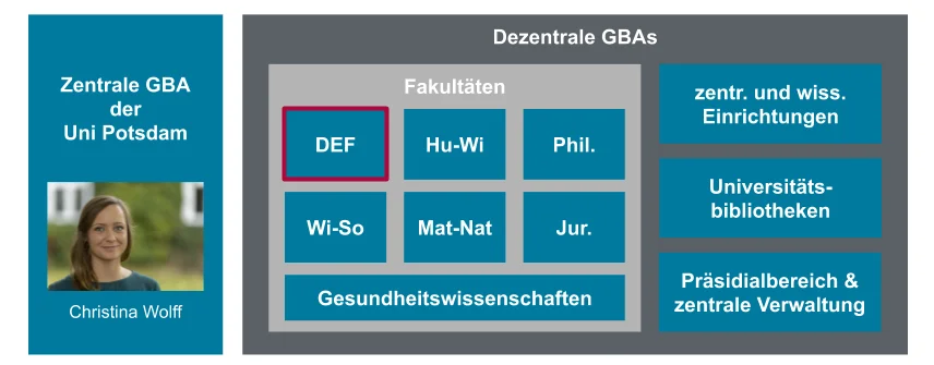 Das Bild zeigt eine grafische Übersicht der Gleichstellungsbeauftragten (GBAs) an der Universität Potsdam. Links ist ein Kasten mit dem Titel „Zentrale GBA der Uni Potsdam“ und einem Foto von Christina Wolff. Rechts daneben sind die dezentralen GBAs dargestellt – unterteilt in Fakultäten (z. B. DEF, Hu-Wi, Phil.) sowie zentrale Bereiche wie „zentr. und wiss. Einrichtungen“, „Universitätsbibliotheken“ und „Präsidialbereich & zentrale Verwaltung“.