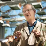 Stressfrei wachsen: Biologe Prof. Dr. Michael Lenhard erforscht, wie Pflanzen an den Klimawandel angepasst werden können.