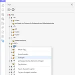 Screenshot Adobe Pro: Reiter Tags - Einfügen