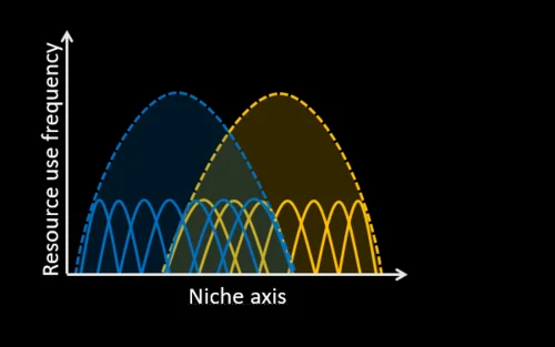 Individual and species niches