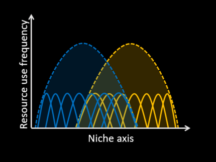 Individual and species niches