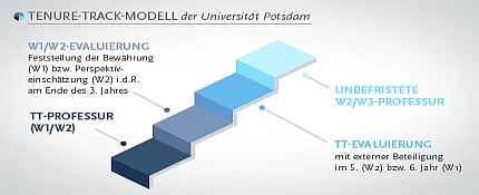 tenure-track multi-stage model