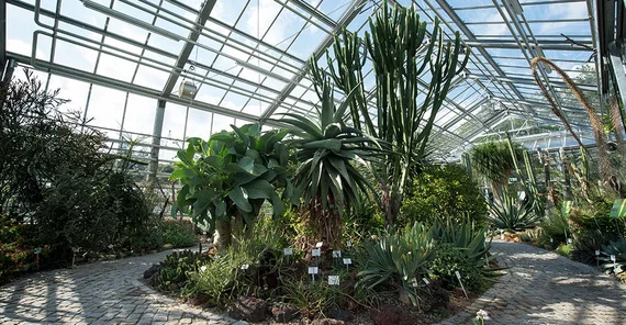 Blick auf die Gewächshäuser des Botanischen Gartens der Universität Potsdam – Heimat von rund 10.000 Pflanzenarten.