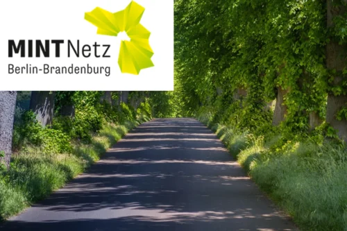 Logo MINT-Netz Berlin-Brandenburg