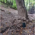 Rotational landslide near Hümmel, 12/10/2021 Eroded slope / gully next to the Ahr
