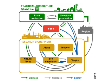 The picture shows the interaction between the disciplines of the desired circular bioeconomy of the Leibniz Innovation Farm. It displays how the farm LVAT e.V. is extended by a research biorefinery.