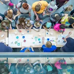 Impressionen des Potsdamer Tags der Wissenschaften 2018