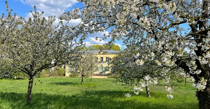 Ein Blick auf das Fontane-Archiv, erkennba in der Ferne. Im Vordergrund blühende Obstbäume und grüne Wiese.