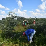 the team at work