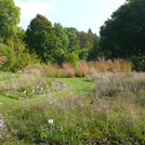 Der Steppen- und Präriegarten