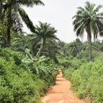 Impressions from Nigeria. Photo: Valerie Pobloth/Isabel Dückert.
