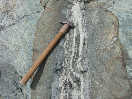 Actinolite bearing vein crossing serpentinite