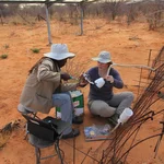 Two NamTip researchers repairing a soiul probe under the roof of the TipEx rainout shelters