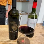 In der Verkostung: Weine aus Pécs