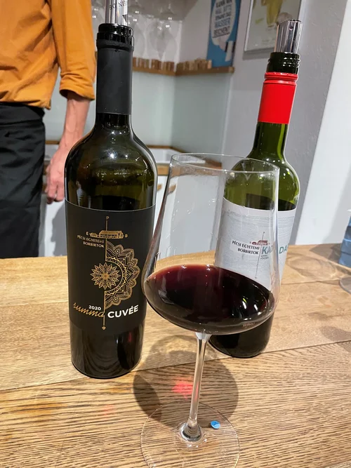 In der Verkostung: Weine aus Pécs
