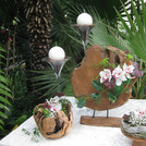 Ausstellung Faszination Orchideen 2011