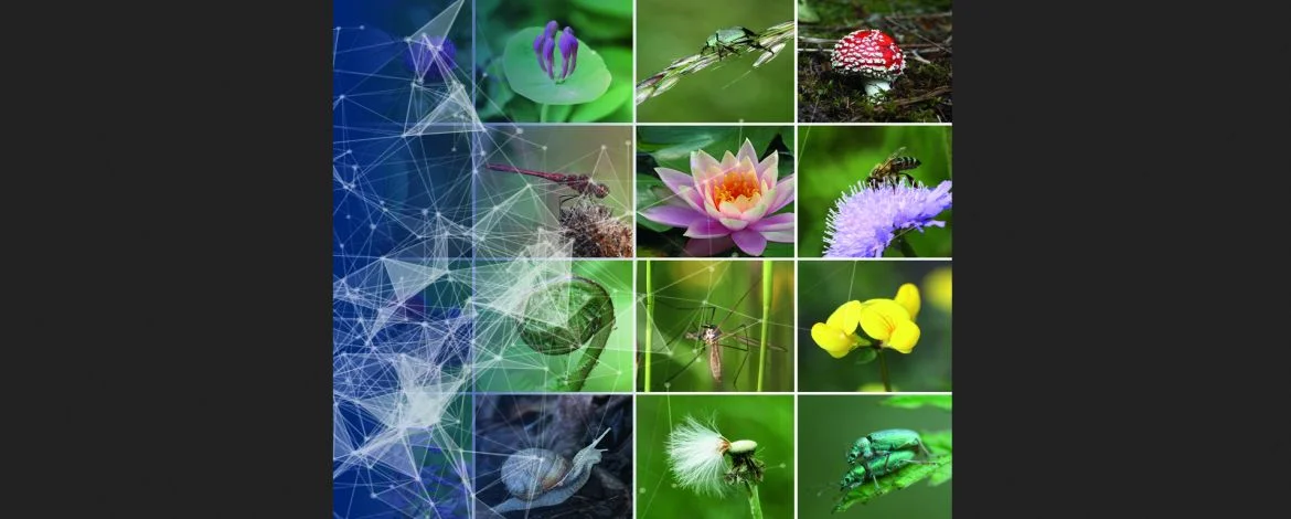 A collage of genetic the themes - 