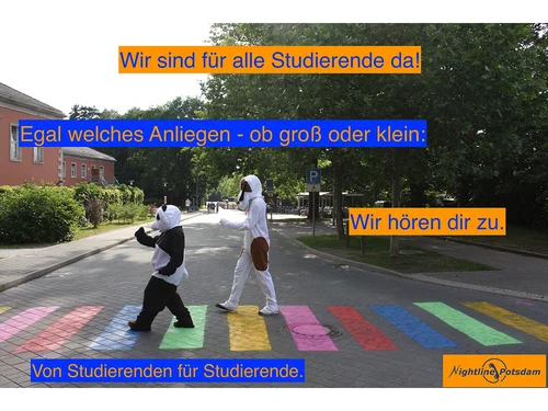 Zwei Personen in Hunde- und Pandakostüm