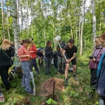 Anfertigen eines Bodenprofils im Forst Brieselang (Modul Vegetation Mitteleuropas)