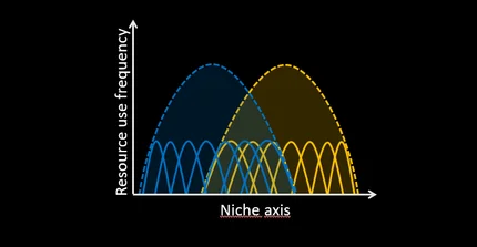 Indivual niches of coexisting species