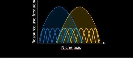 Indivual niches of coexisting species