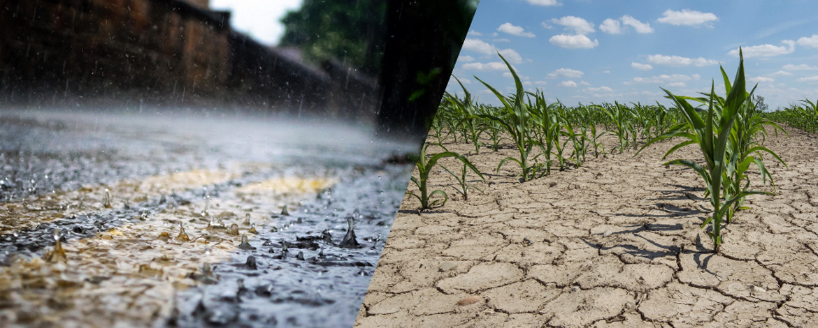 Flut und Dürre - 