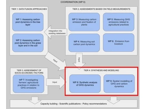 Tier 4 highlighted