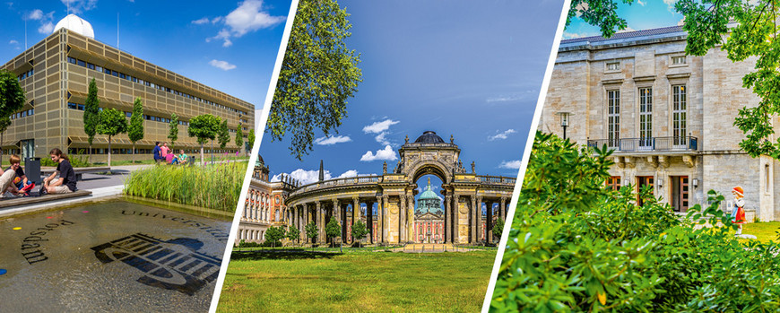 Die drei Campus der Universität Potsdam.