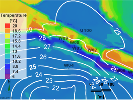 Spatial temperature distribution and water head isolines (white lines)