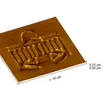 Atomic Force Microscope (AFM) Aufnahme des Uni Potsdam Logos
