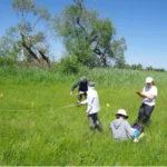 the excursion participants in the grass trees in the background