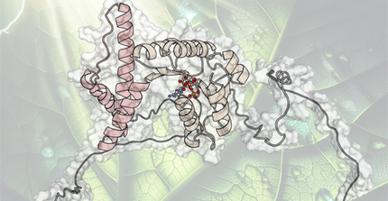 Computer-generated illustration of a protein