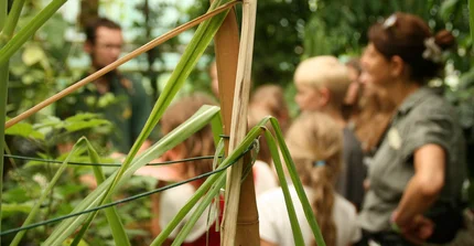 Eine Gruppe von Schülern im Grünen Klassenzimmer
