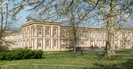 NP Haus 12