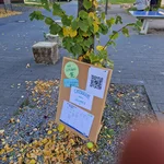 Bilder Erstiwoche 22