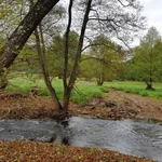 Meander cut near Blankenheim, 12/10/2021 
