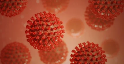 example image covid19-virus