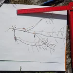 plant with measure stick