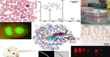 Header Toxicology