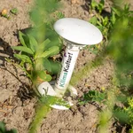 a data logger in the ground between plants