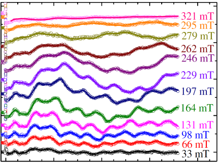 MOKE data on standing spin waves in iron garnet at various external magnetic fields