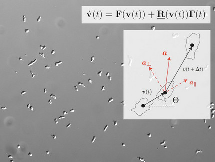 Chemotaxis cell tracks and statistics