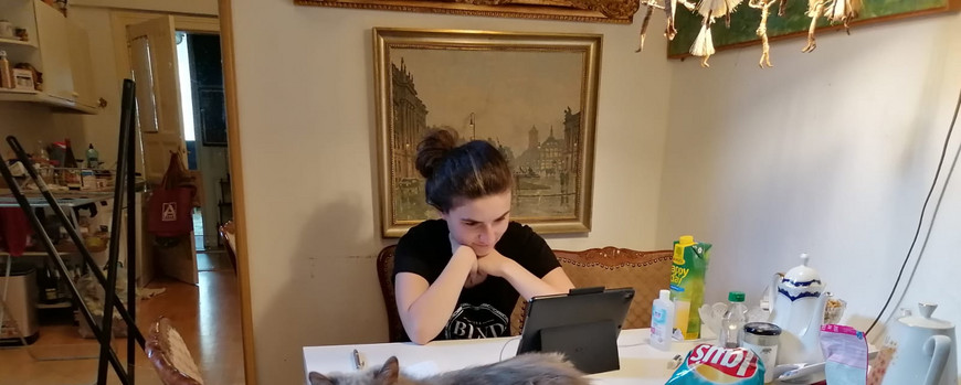 An einem Küchentisch sitzt eine studentin und schaut konzentriert in ein Tablet. Vor ihr eine plüschige graue Katze, die auf dem tisch sitzt und in die Kamera schaut. Links neben dem Tisch stehen Besten, Wischmob und Bodenwasen vor einem Spiegel, im Spiegel sieht man Küchenmöbel.