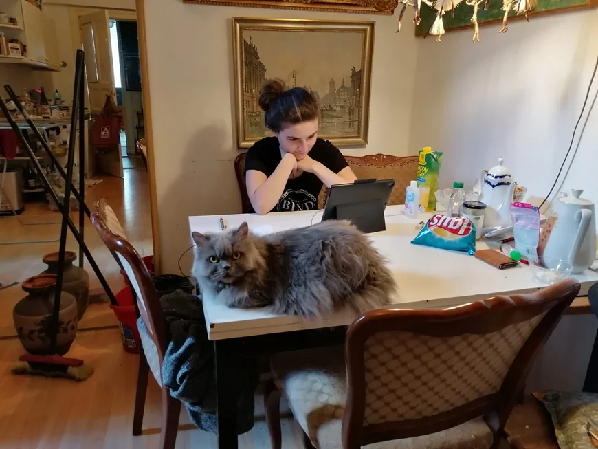 An einem Küchentisch sitzt eine studentin und schaut konzentriert in ein Tablet. Vor ihr eine plüschige graue Katze, die auf dem tisch sitzt und in die Kamera schaut. Links neben dem Tisch stehen Besten, Wischmob und Bodenwasen vor einem Spiegel, im Spiegel sieht man Küchenmöbel.